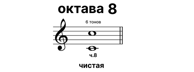 Октава 8 Октава 8