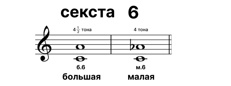 Секста 6 Секста 6